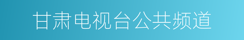 甘肃电视台公共频道的同义词