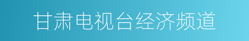 甘肃电视台经济频道的同义词