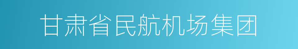 甘肃省民航机场集团的同义词