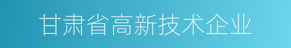 甘肃省高新技术企业的同义词