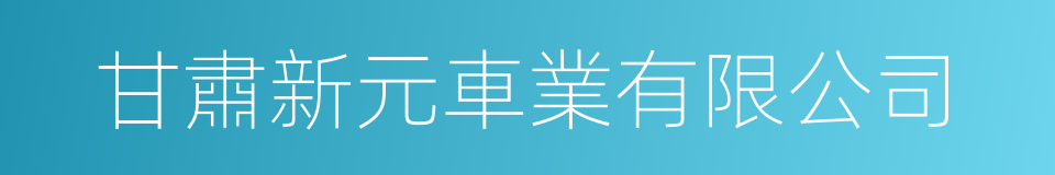 甘肅新元車業有限公司的同義詞