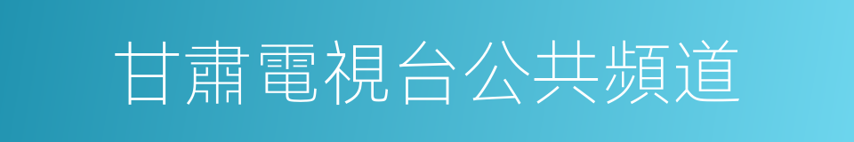 甘肅電視台公共頻道的同義詞