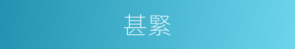 甚緊的意思