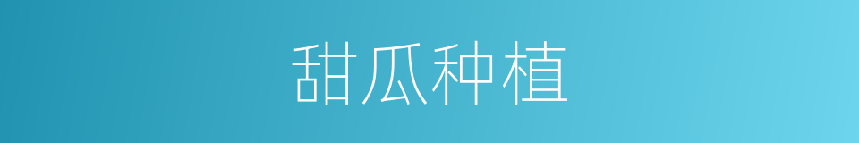 甜瓜种植的意思