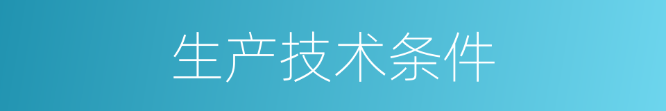 生产技术条件的同义词