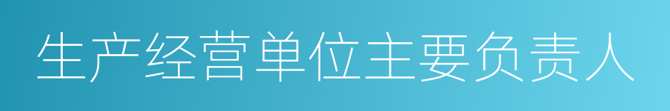 生产经营单位主要负责人的同义词