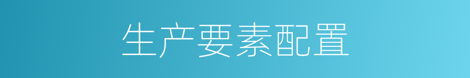 生产要素配置的同义词