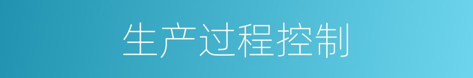 生产过程控制的同义词