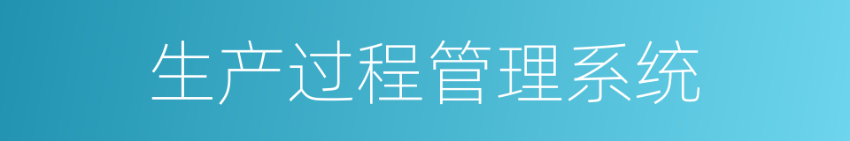 生产过程管理系统的同义词