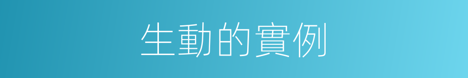 生動的實例的同義詞