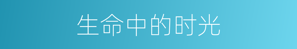 生命中的时光的同义词