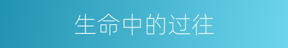 生命中的过往的同义词