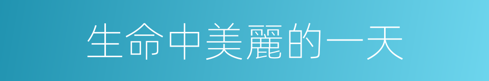 生命中美麗的一天的同義詞