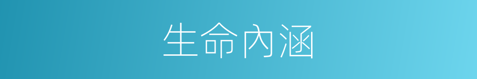 生命內涵的同義詞