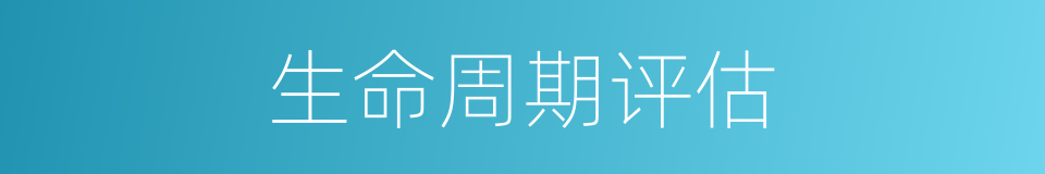 生命周期评估的同义词
