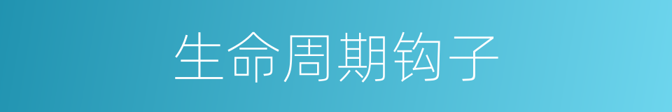 生命周期钩子的同义词
