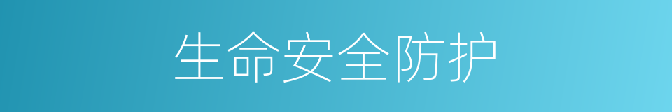 生命安全防护的同义词