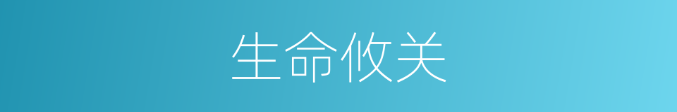 生命攸关的意思