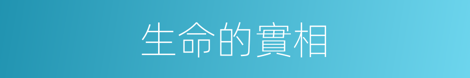 生命的實相的同義詞