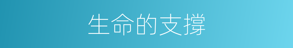 生命的支撐的同義詞
