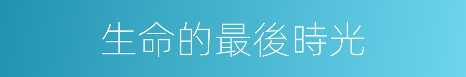 生命的最後時光的同義詞