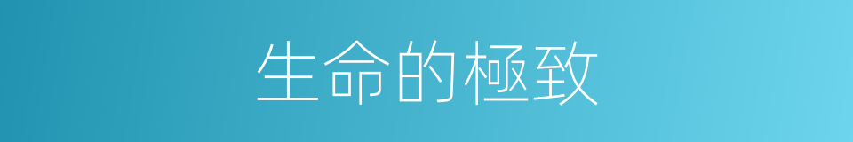 生命的極致的同義詞