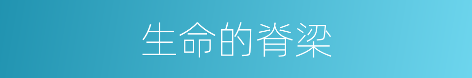 生命的脊梁的同義詞