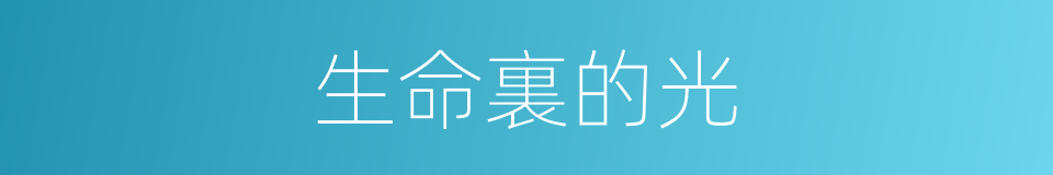 生命裏的光的同義詞