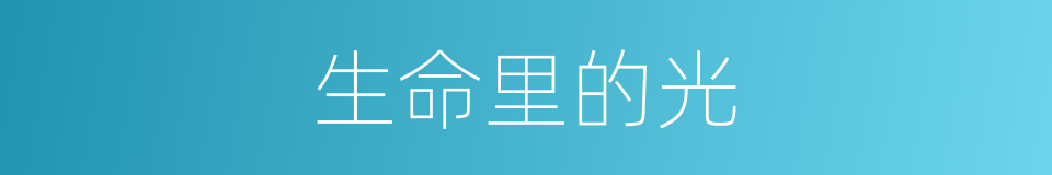 生命里的光的同义词