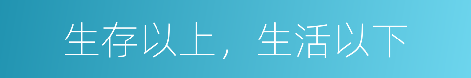 生存以上，生活以下的同义词