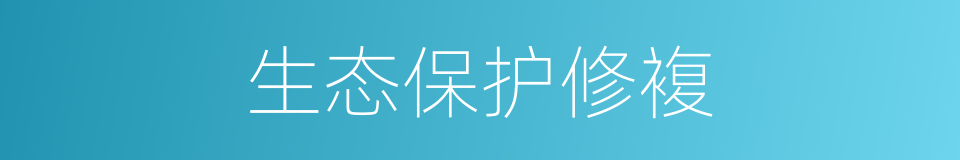 生态保护修複的同义词