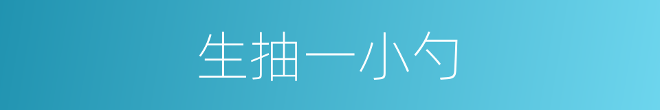 生抽一小勺的同义词