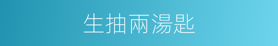 生抽兩湯匙的同義詞