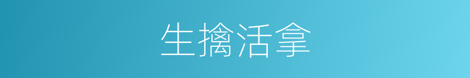 生擒活拿的意思