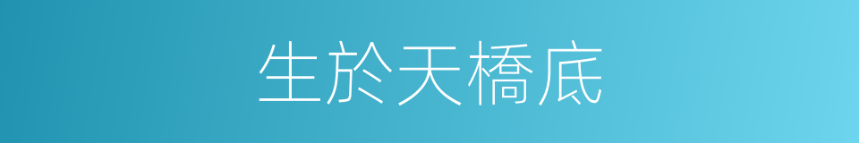 生於天橋底的同義詞