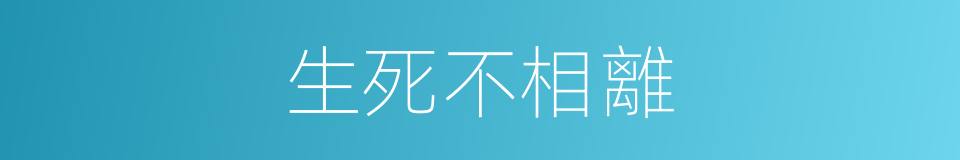 生死不相離的同義詞