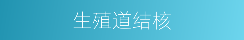 生殖道结核的同义词
