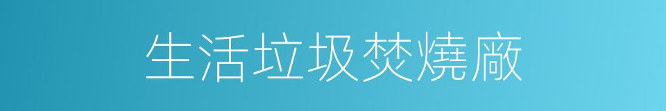 生活垃圾焚燒廠的同義詞
