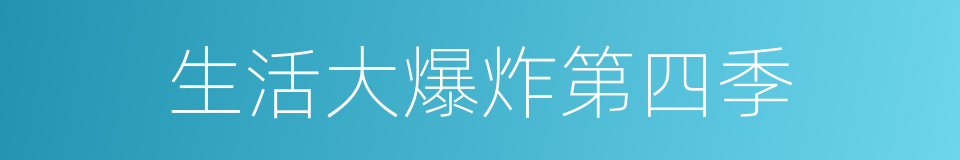 生活大爆炸第四季的同义词