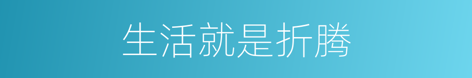 生活就是折腾的同义词