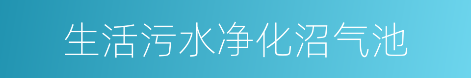 生活污水净化沼气池的同义词