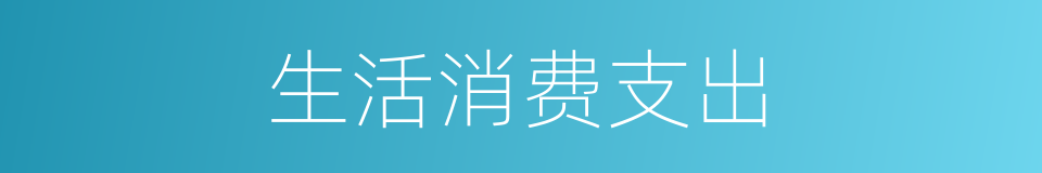 生活消费支出的同义词