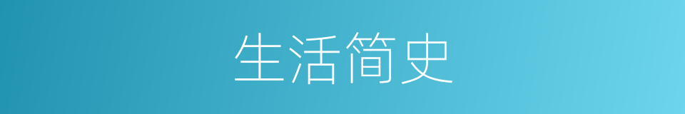 生活简史的同义词