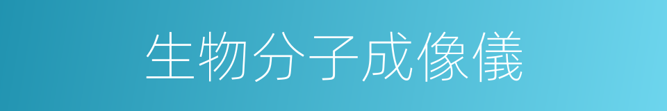 生物分子成像儀的同義詞