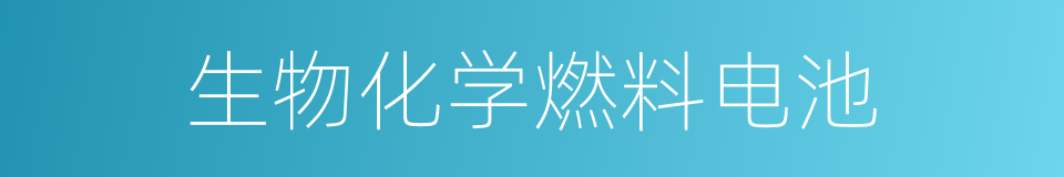 生物化学燃料电池的同义词