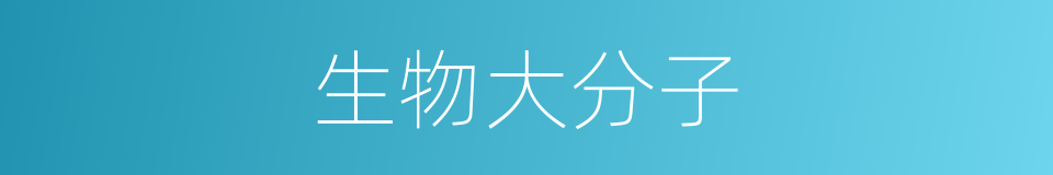 生物大分子的同义词