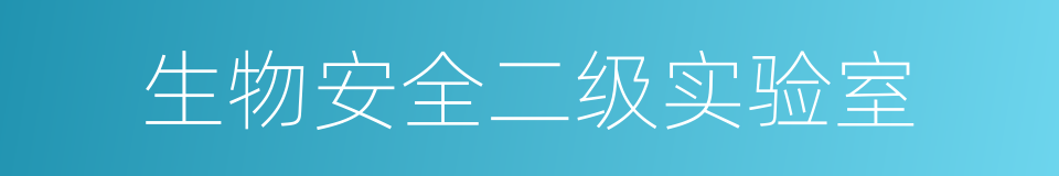 生物安全二级实验室的同义词