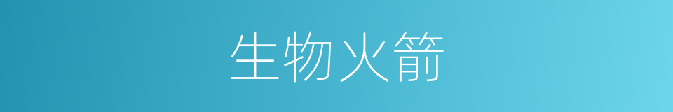 生物火箭的同义词