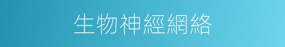 生物神經網絡的同義詞