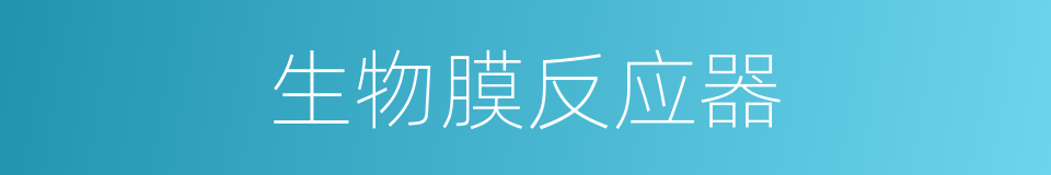 生物膜反应器的同义词